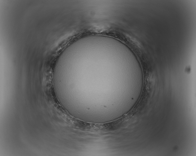 X0000115561349200911271447