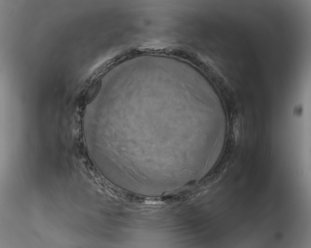 X0000115561350200911271447