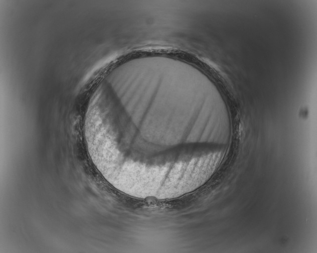 X0000115561351200911271447