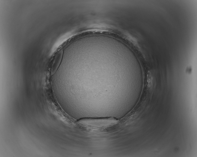 X0000115561352200911271447