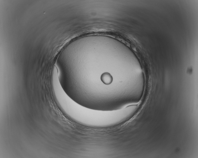 X0000115561353200911271447