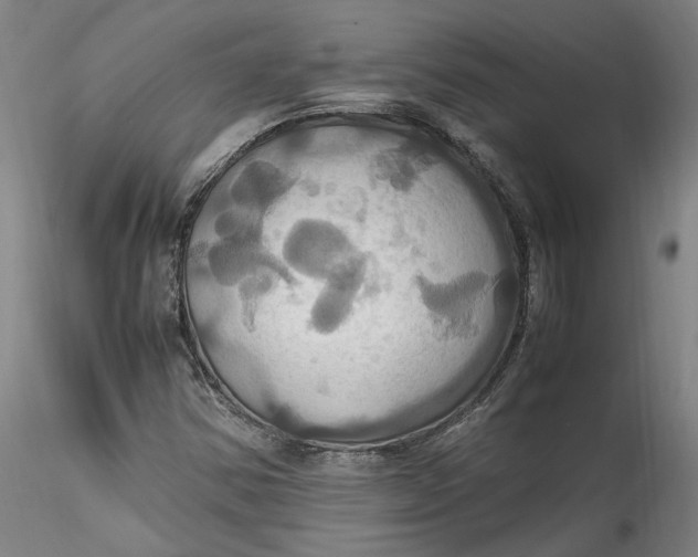 X0000115561354200911271447