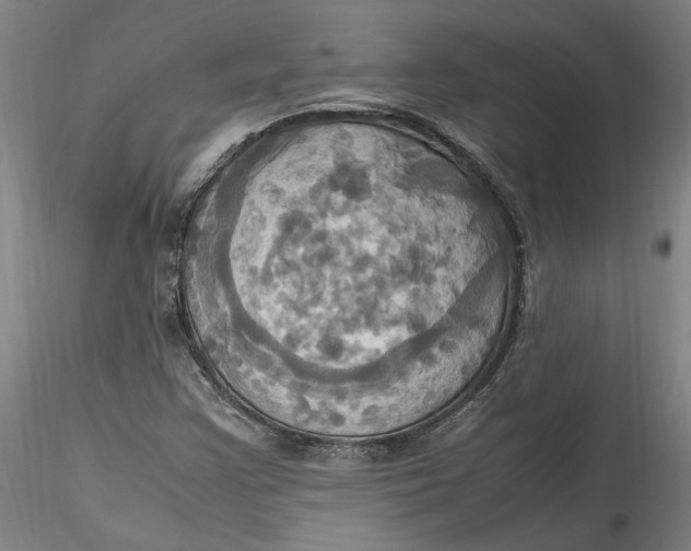 X0000115561355200911271447