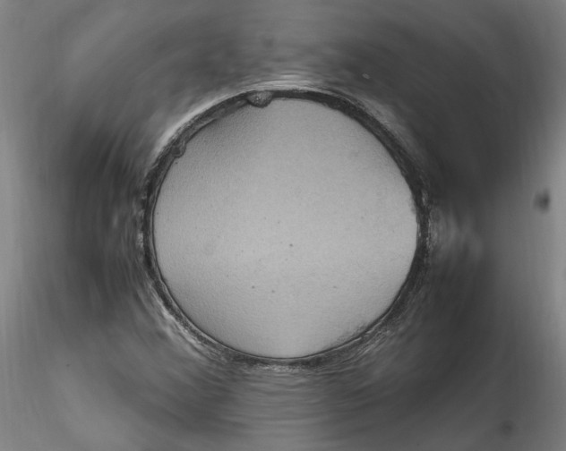 X0000115561356200911271447