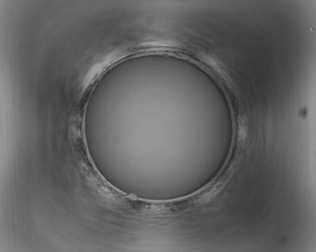 X0000115561357200911271447