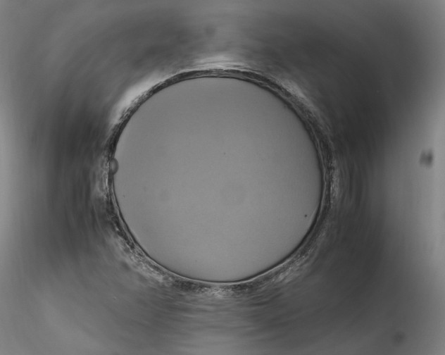 X0000115561358200911271447