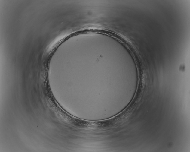 X0000115561359200911271447