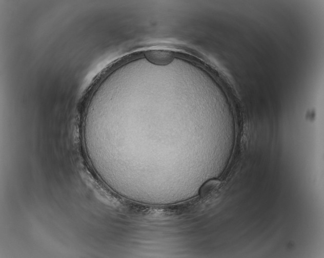 X0000115561360200911271447