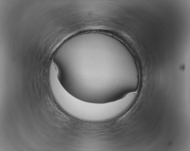 X0000115561361200911271447