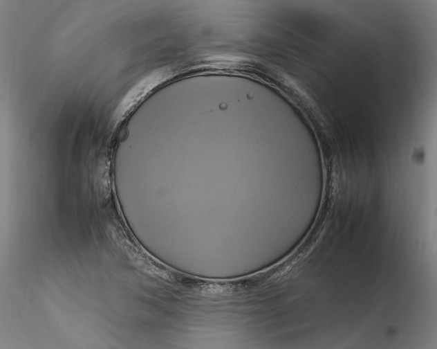 X0000115561362200911271447