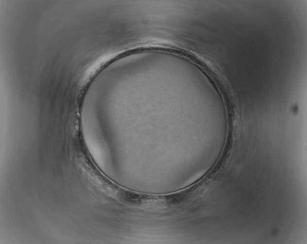 X0000115561363200911271447