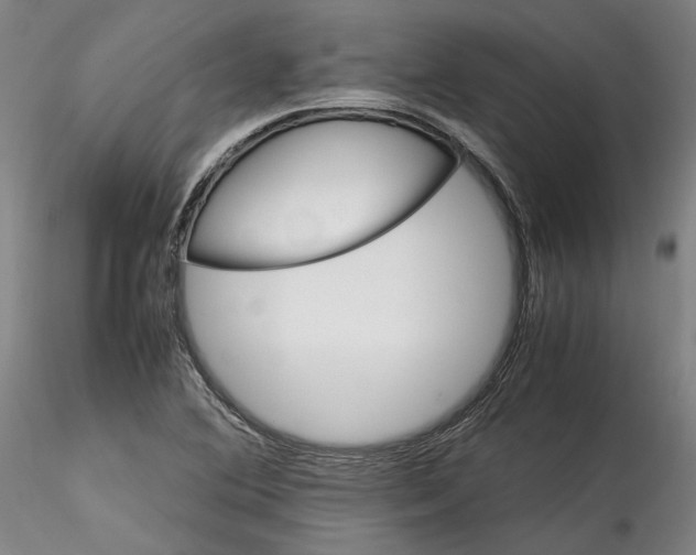 X0000115561364200911271447