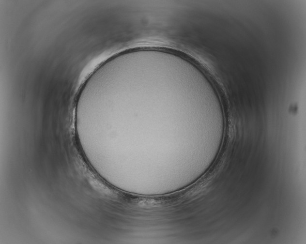 X0000115561366200911271447