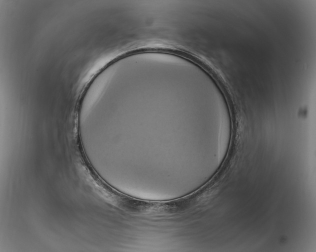 X0000115561367200911271447