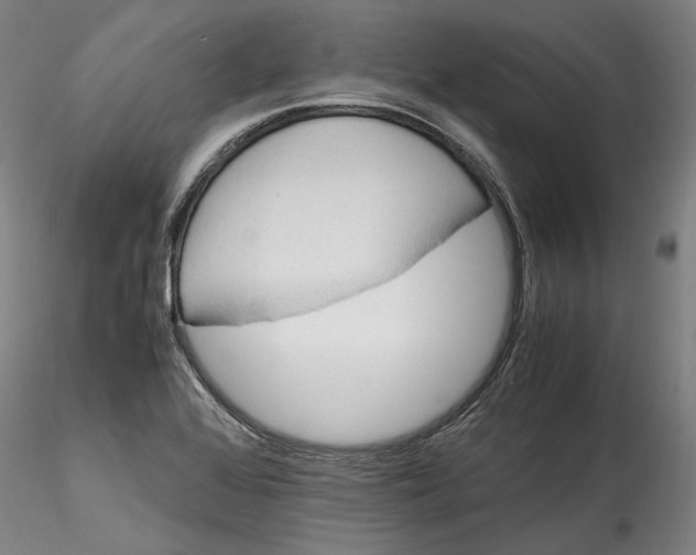 X0000115561368200911271447