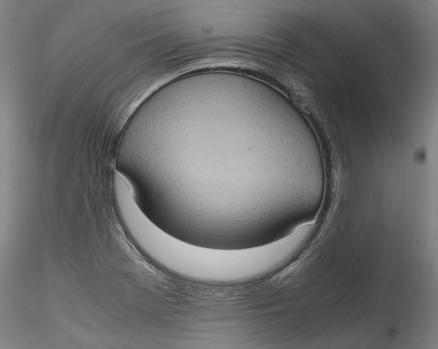 X0000115561369200911271447