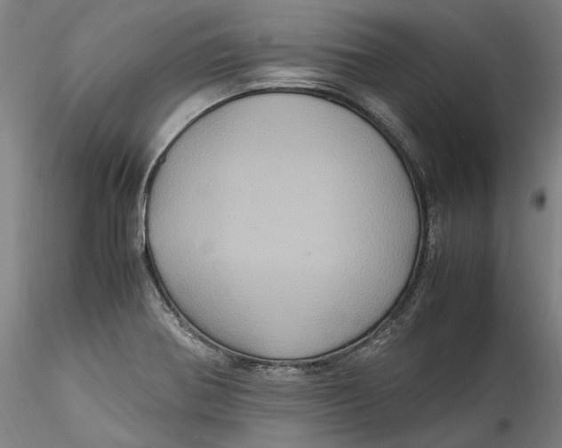 X0000115561370200911271447