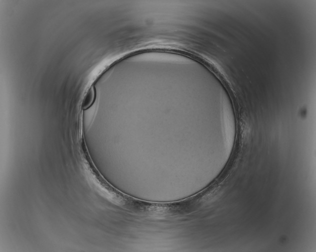 X0000115561371200911271447