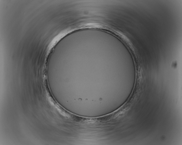 X0000115561373200911271447