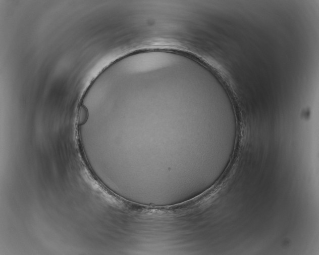 X0000115561374200911271447