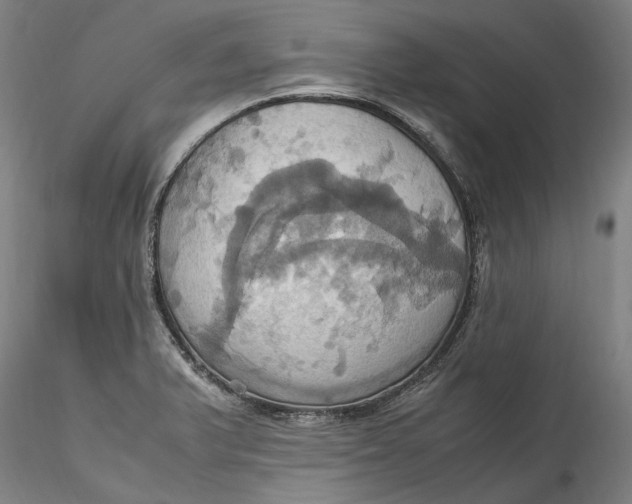 X0000115561375200911271447