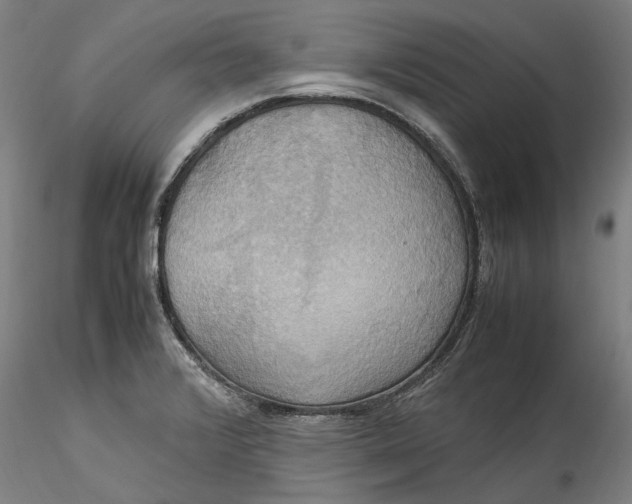 X0000115561376200911271447