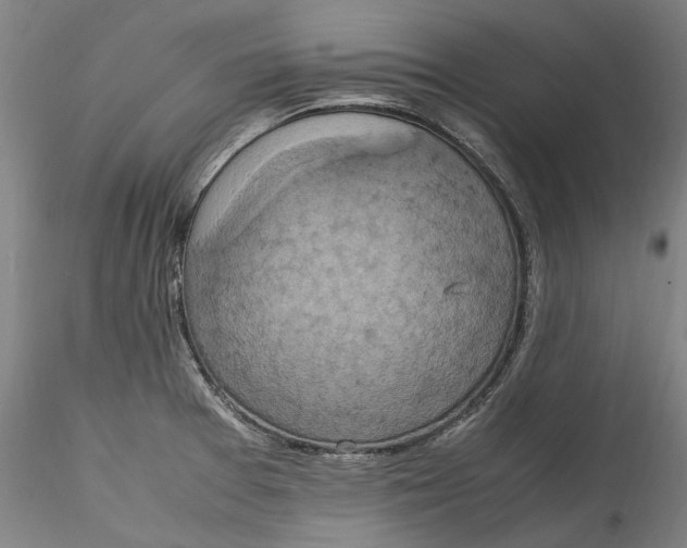 X0000115561377200911271447