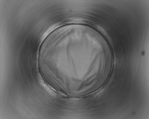 X0000115561378200911271447