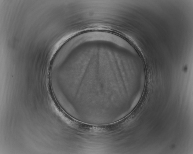 X0000115561379200911271447