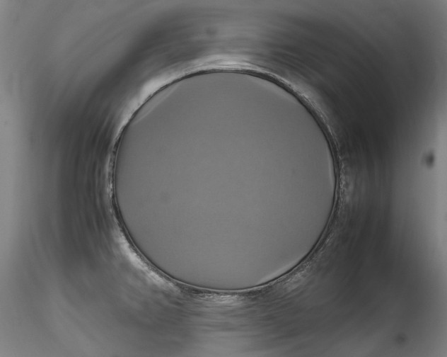 X0000115561382200911271447