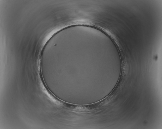 X0000115561383200911271447