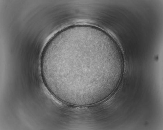 X0000115561384200911271447