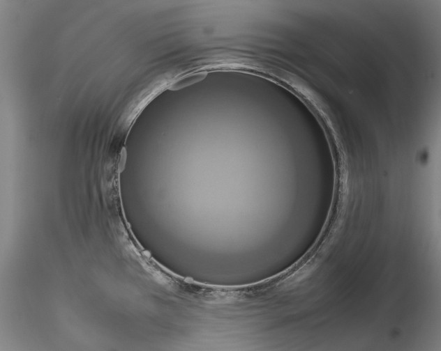 X0000115561385200911271447