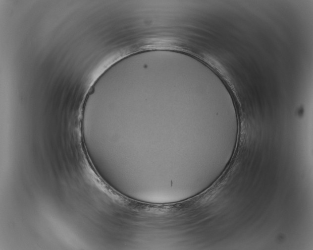 X0000115561386200911271447