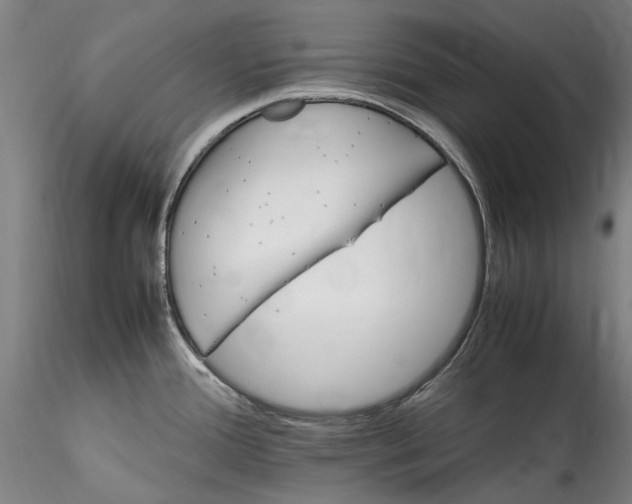 X0000115561388200911271447