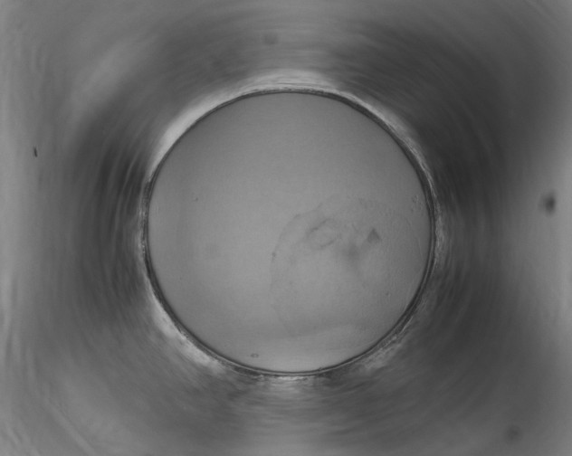 X0000115561390200911271447