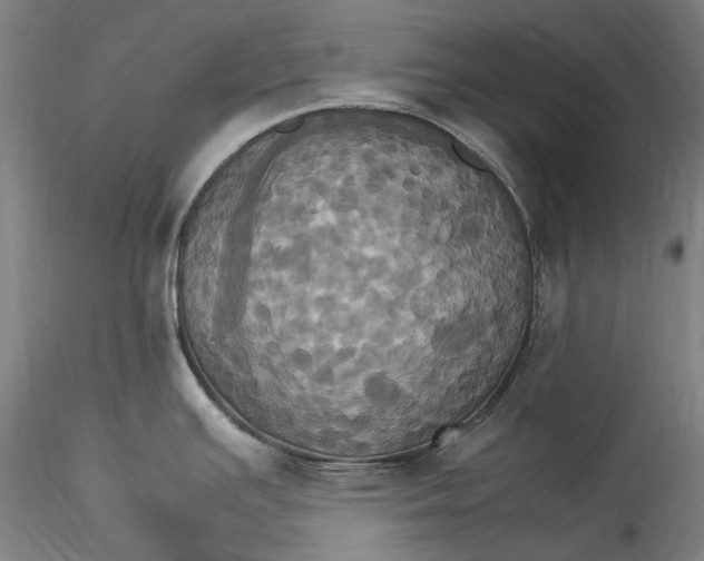 X0000115561391200911271447