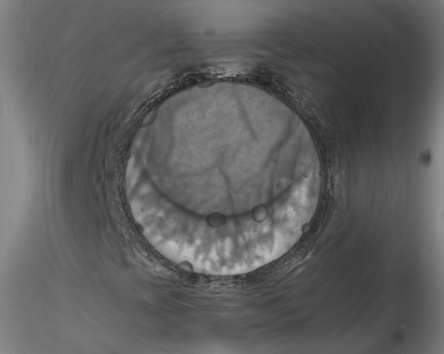 X0000115561393200911271446