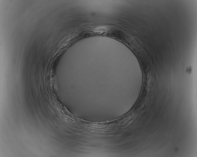 X0000115561394200911271446