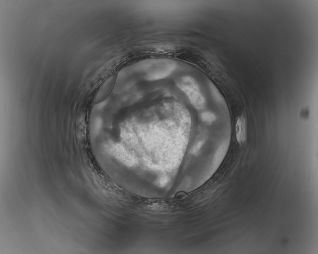 X0000115561395200911271446