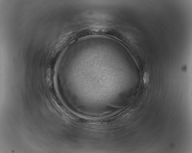 X0000115561396200911271446