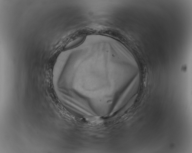 X0000115561397200911271446