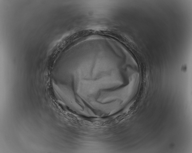 X0000115561398200911271446