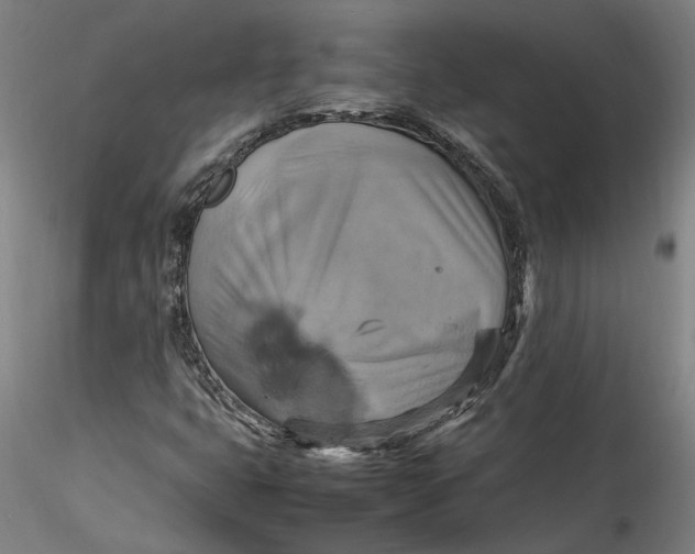 X0000115561399200911271446