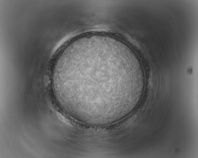 X0000115561400200911271446