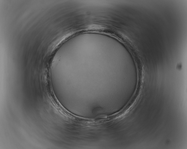 X0000115561401200911271446