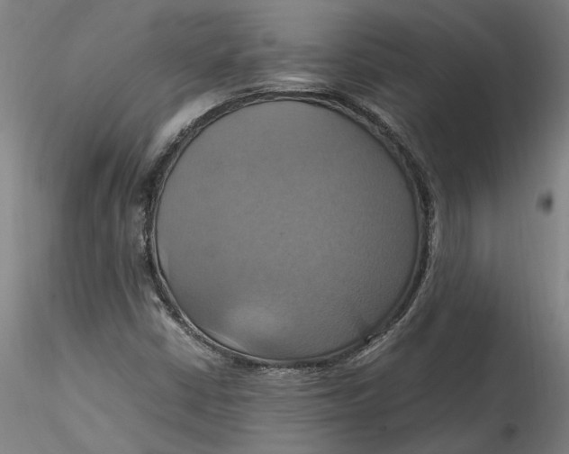 X0000115561402200911271446