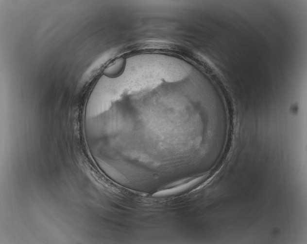 X0000115561403200911271446