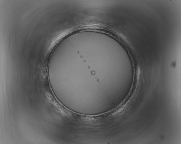 X0000115561405200911271446