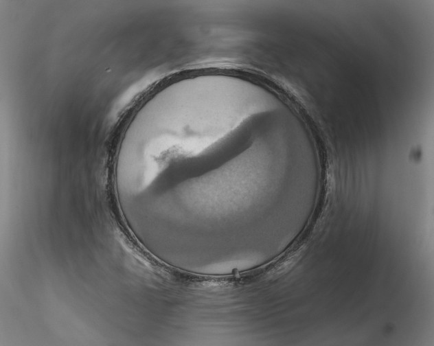 X0000115561406200911271446